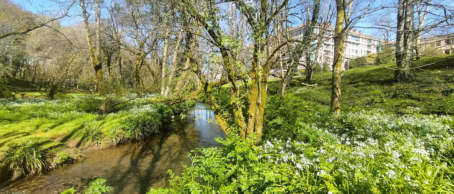 Barrio Verde de Pontepedriña