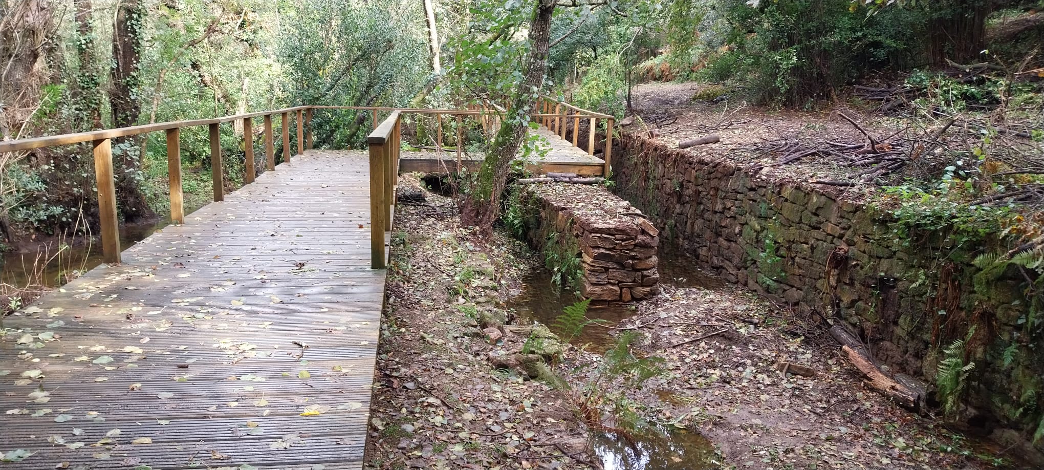 Xardín Botánico - Vista 1