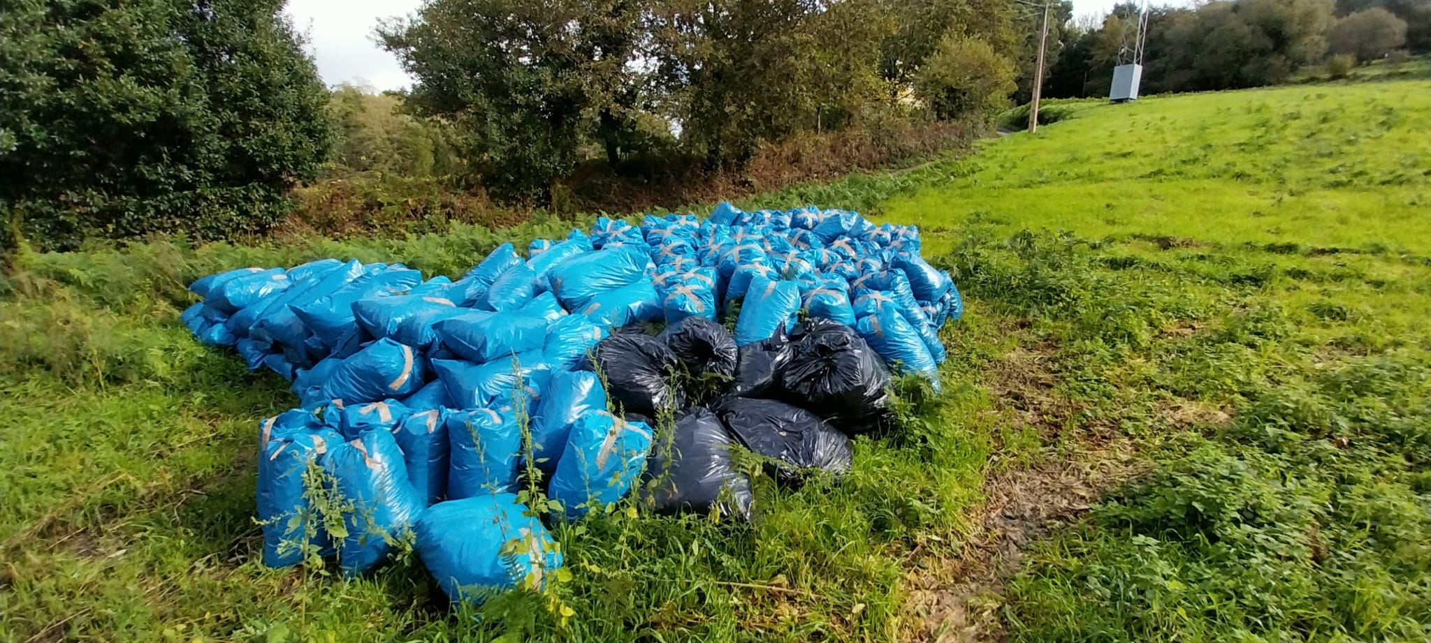 Xardín Botánico - Vista 3